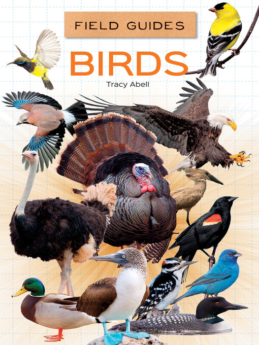 Title details for Birds by Tracy Abell - Wait list